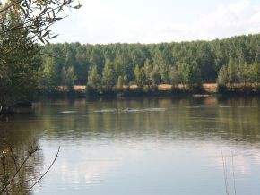 De rivier de Esla halverwege zijn stroomgebied.