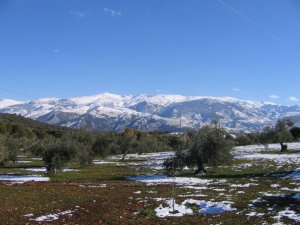 De vlakte van Granada met daarachter de Sierra Nevada na de sneeuwval van 29 januari 2006. In de vlakte zien we buiten de sneeuw ook plekken waar geen sneeuw ligt, maar de bergen van de Sierra Nevada zien er dik besneeuwd uit.